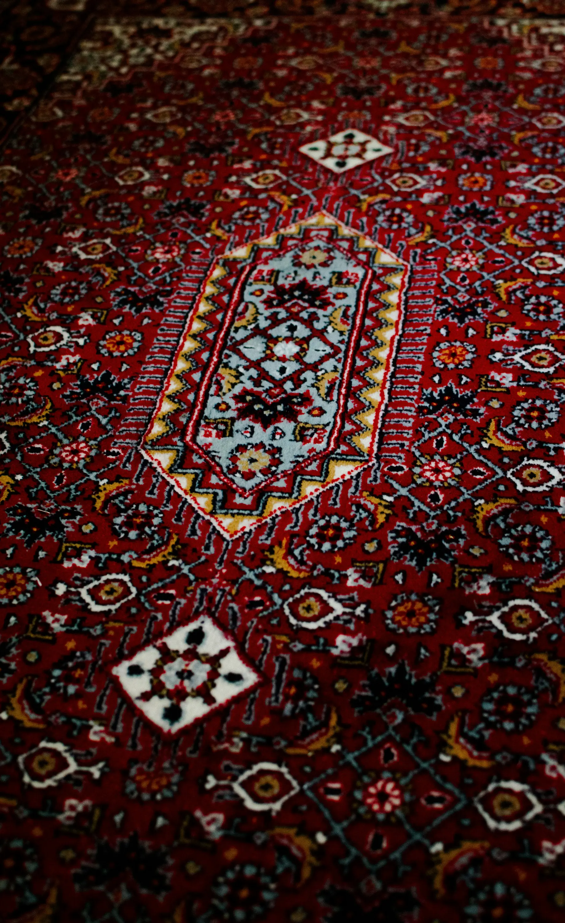 Local carpet cleaners Kent WA, stain removal and odor treatment results