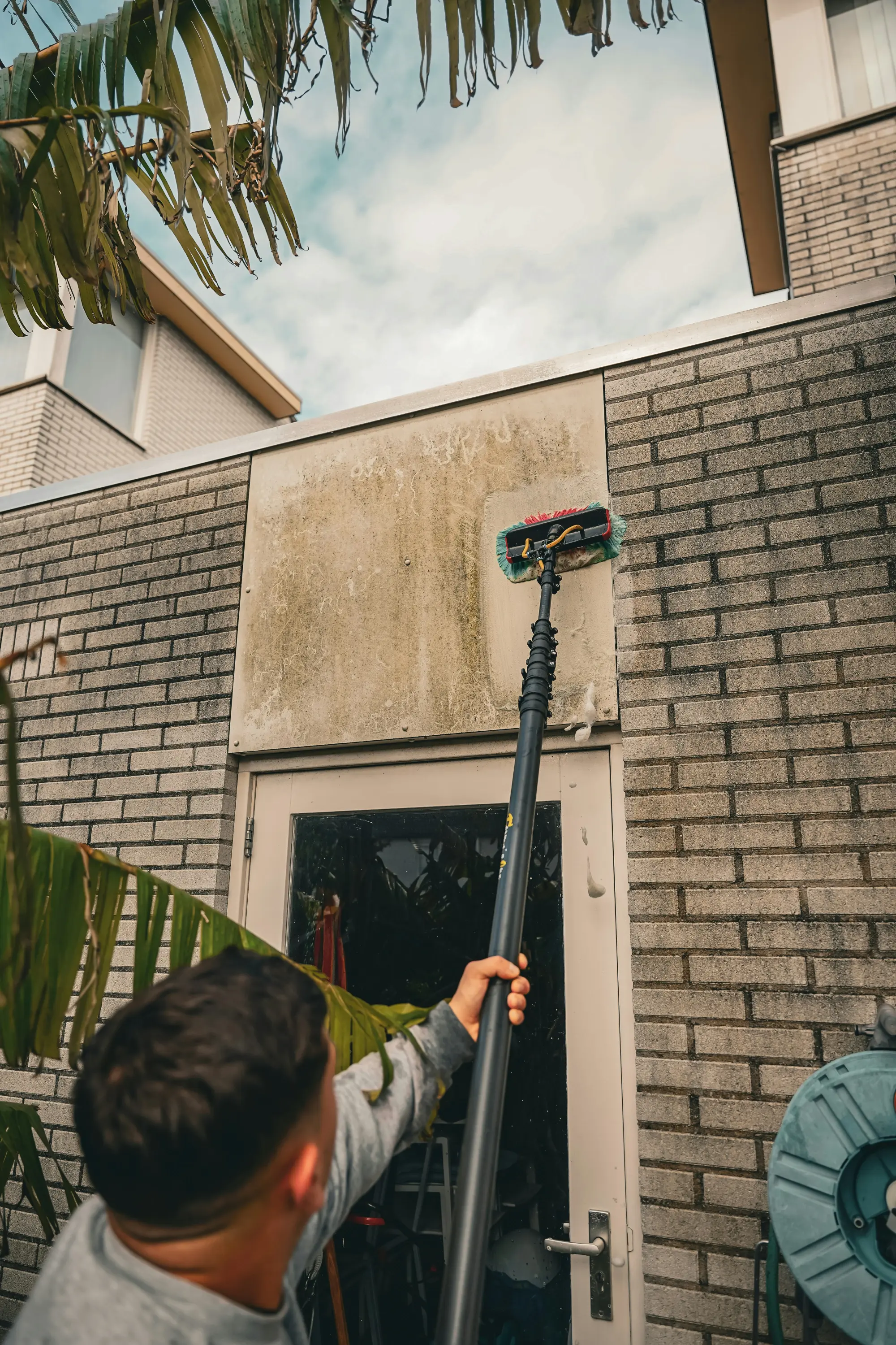 Roof cleaning services near me, moss removed from roof in Kent Washington by Your Space Cleaning