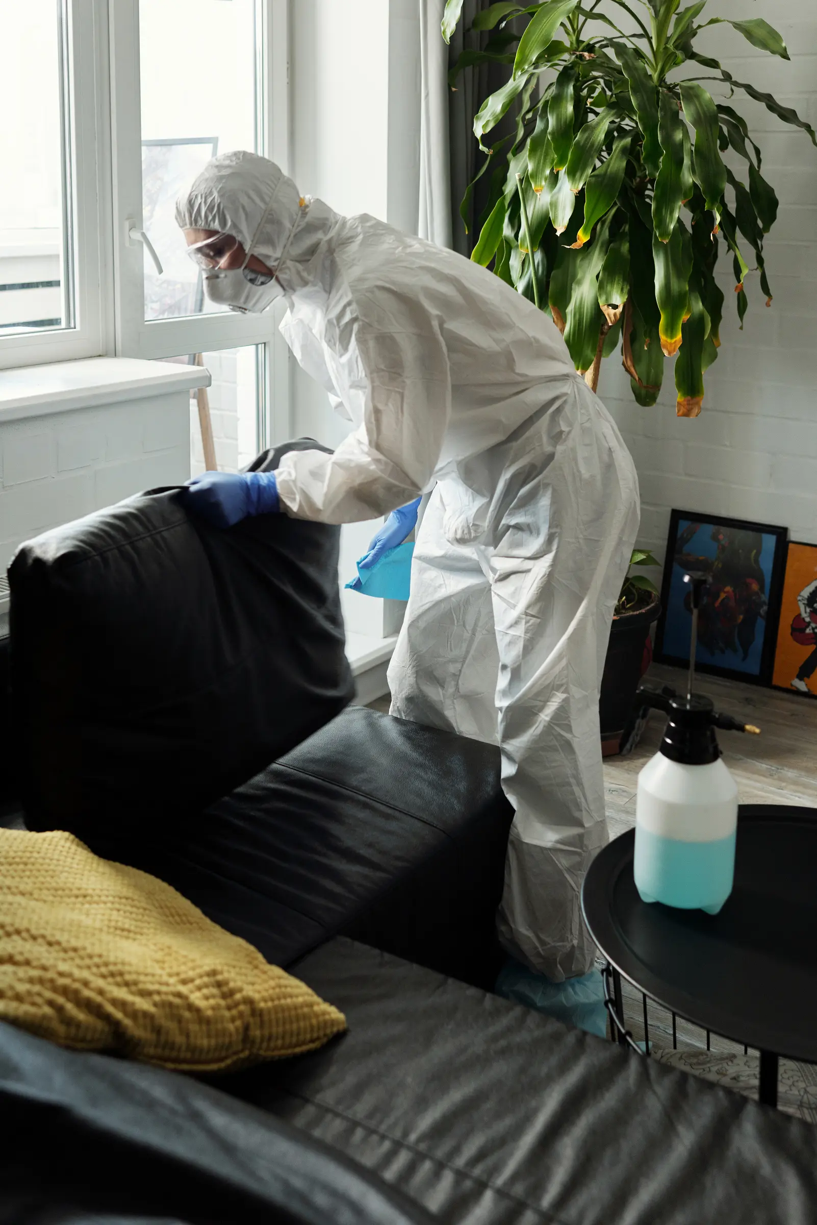 Couch cleaning service Kent WA, stain removed from sectional sofa by Your Space Cleaning